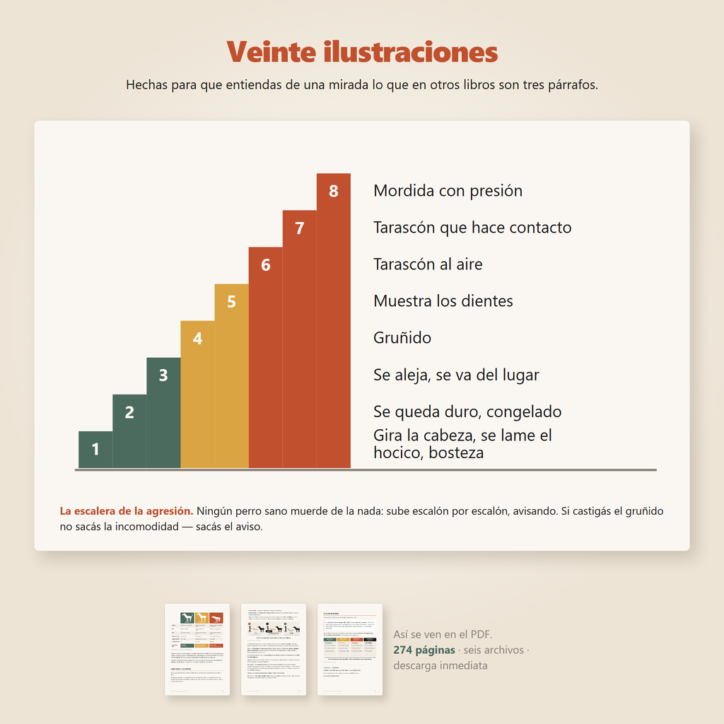 La escalera de la agresión, una de las veinte ilustraciones del libro, con páginas reales del PDF.